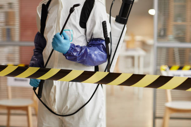 Professional Hoarding Cleanup technician working in Caldwell, OH